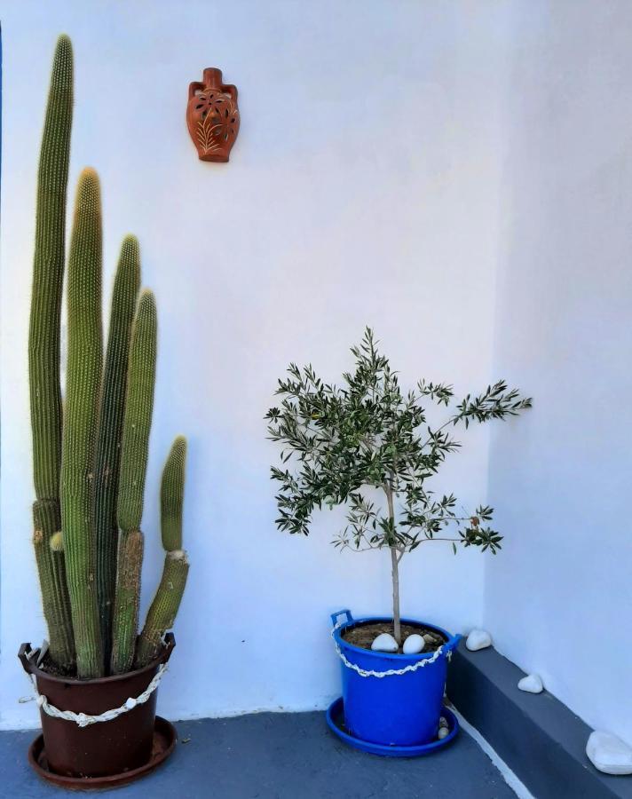 איוס חורה George'S Place מראה חיצוני תמונה