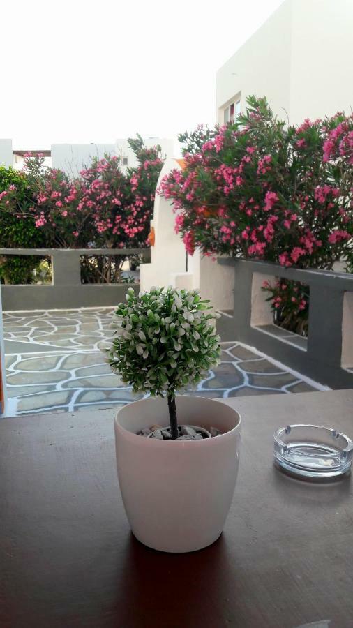 איוס חורה George'S Place מראה חיצוני תמונה